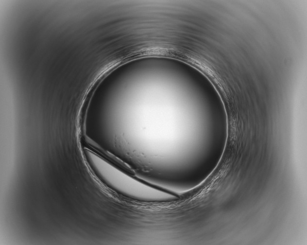 X0000095921042200801251026