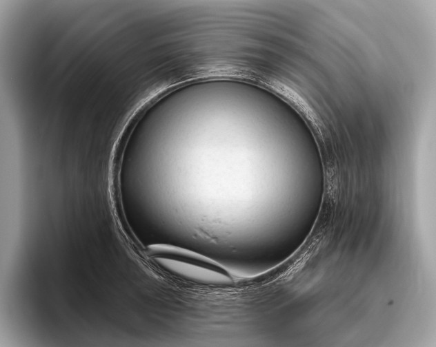 X0000095921043200801251026