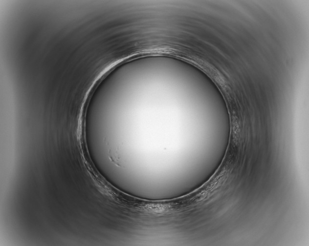 X0000095921044200801251026