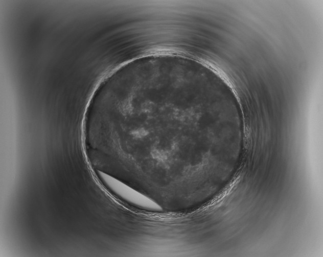 X0000095921045200801251026