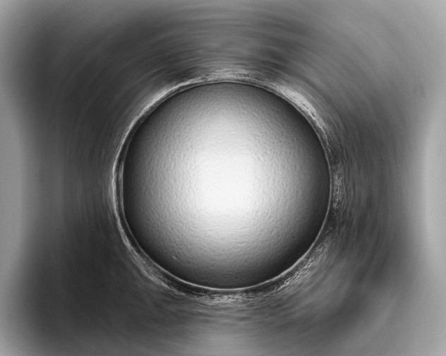 X0000095921047200801251026