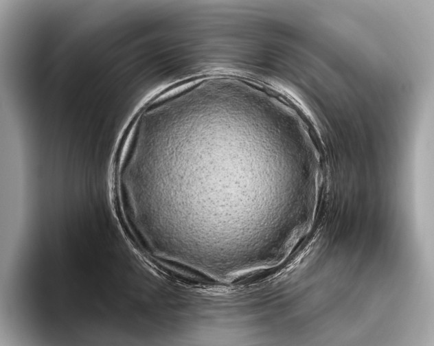 X0000095921048200801251026