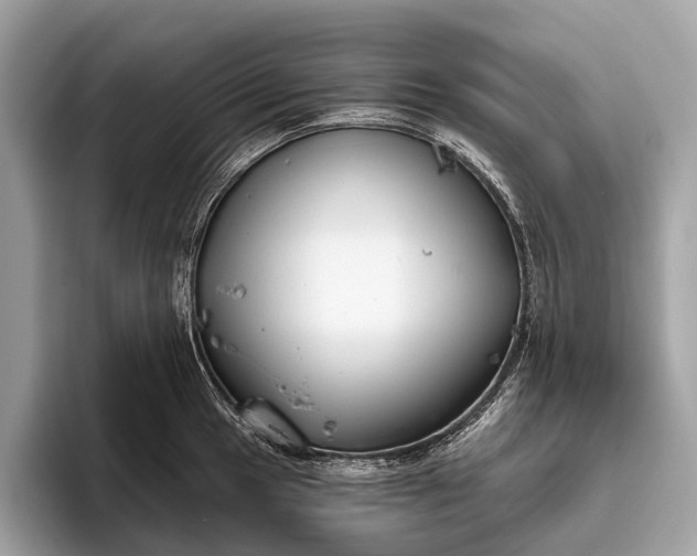 X0000095921049200801251026