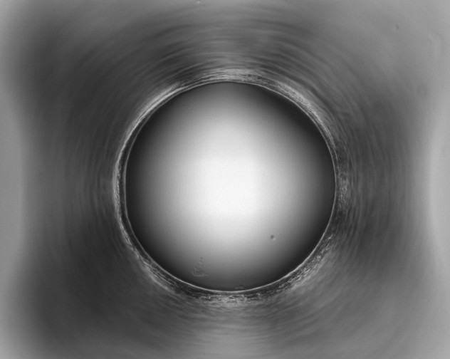 X0000095921050200801251026