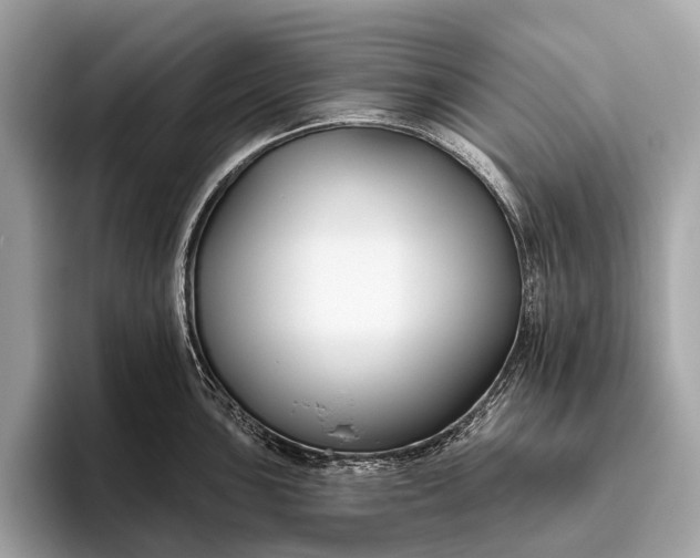 X0000095921051200801251026