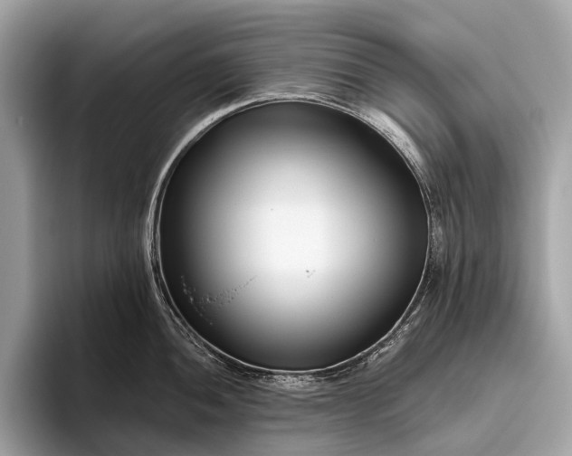 X0000095921052200801251026