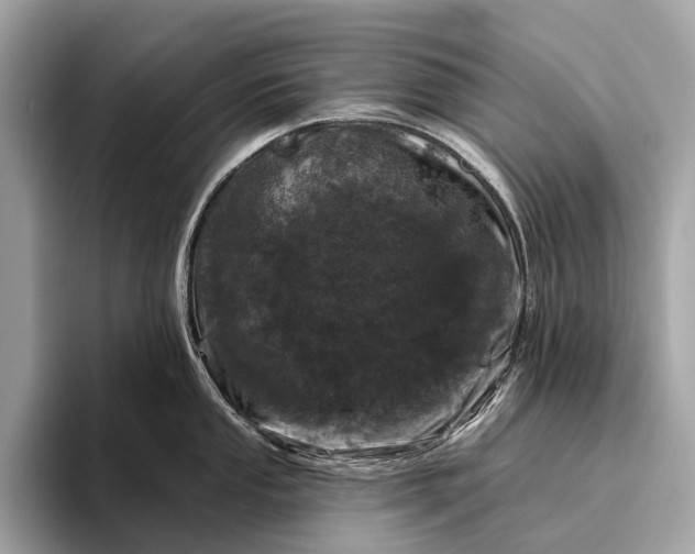 X0000095921053200801251026