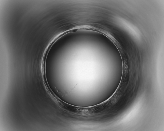 X0000095921054200801251026