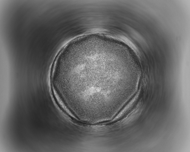 X0000095921055200801251026