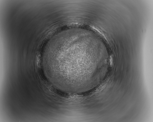 X0000095921059200801251025