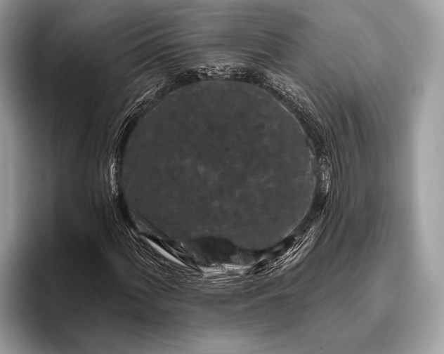 X0000095921060200801251025