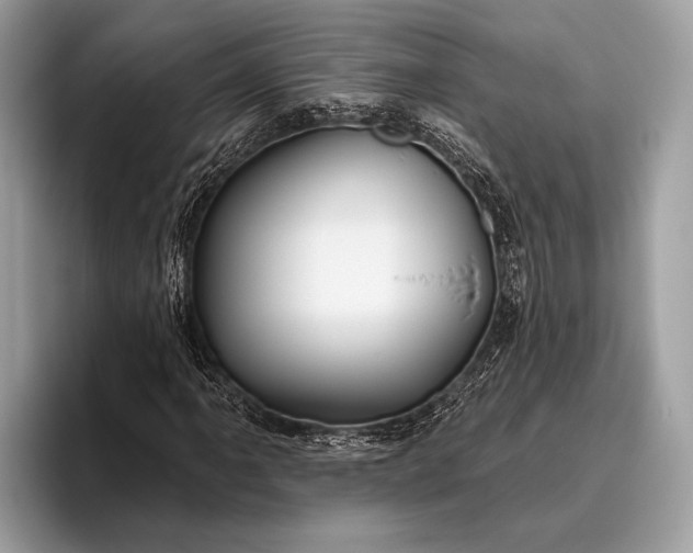 X0000095921061200801251025