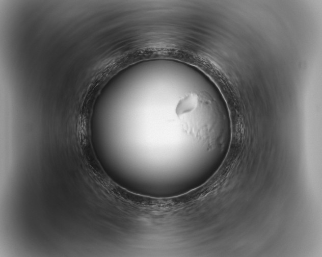 X0000095921062200801251025