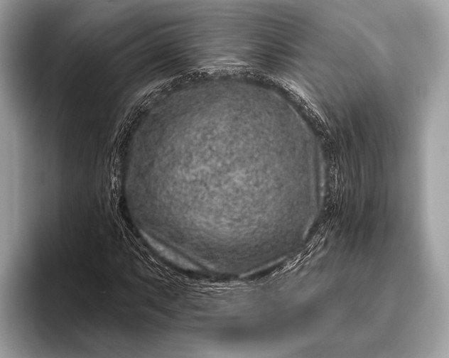 X0000095921063200801251025