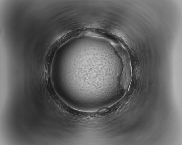 X0000095921064200801251025