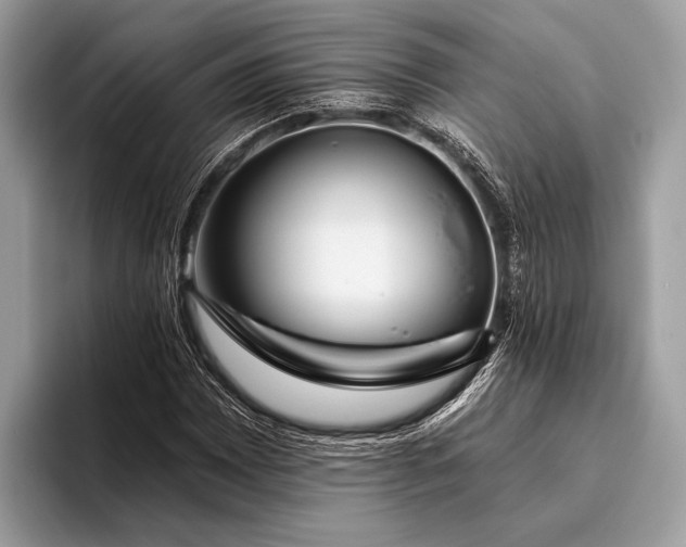 X0000095921065200801251025