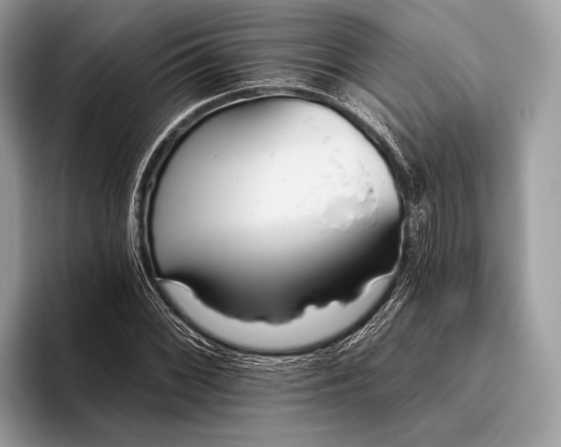 X0000095921068200801251025