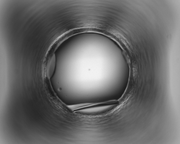 X0000095921069200801251025