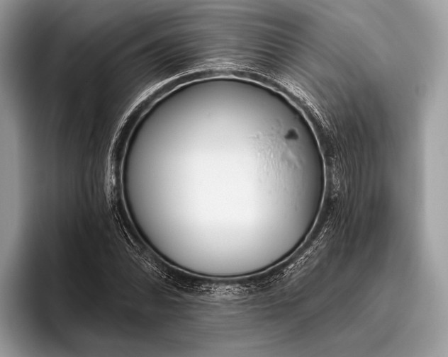 X0000095921070200801251025