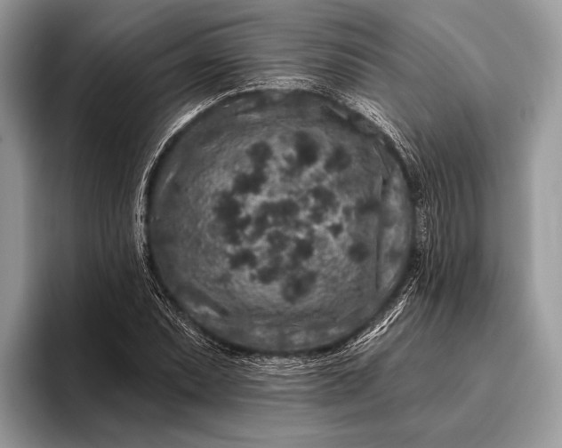 X0000095921071200801251025