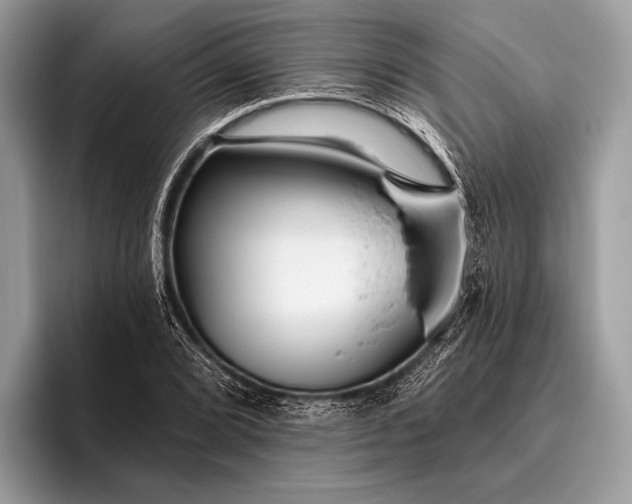 X0000095921072200801251025