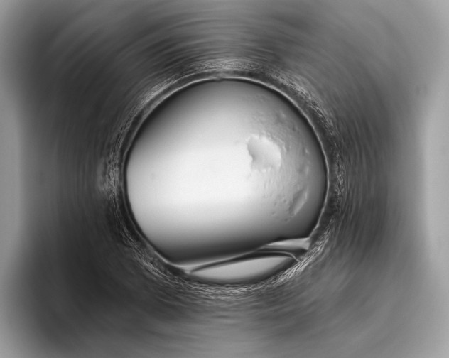 X0000095921073200801251025