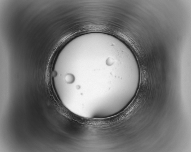 X0000095921074200801251025