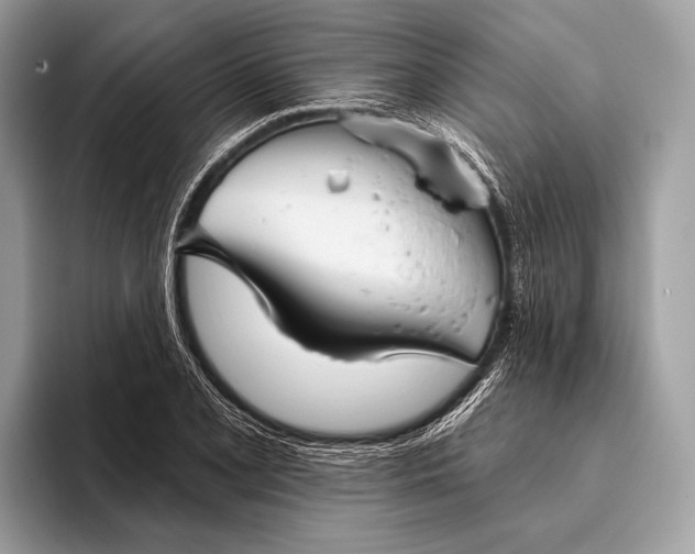 X0000095921077200801251025