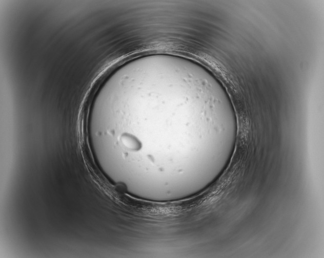 X0000095921078200801251025