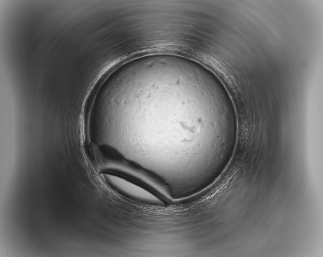 X0000095921079200801251025