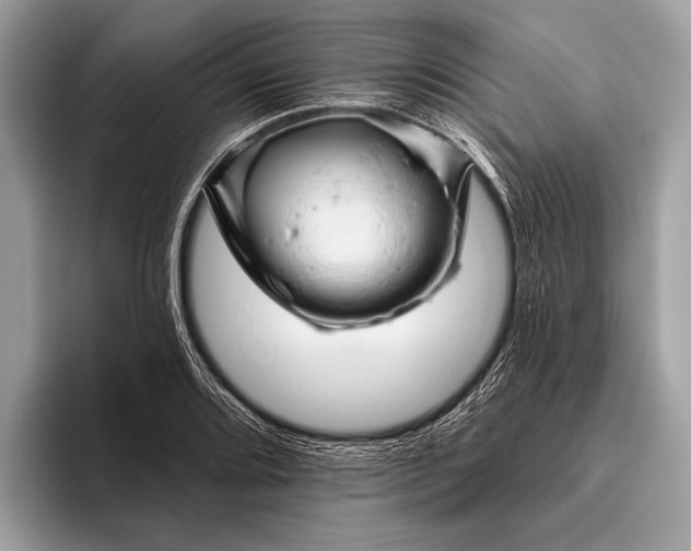 X0000095921080200801251025