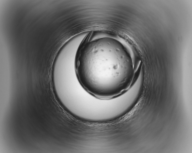 X0000095921081200801251025