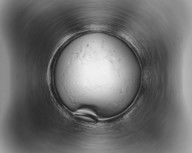 X0000095921082200801251025