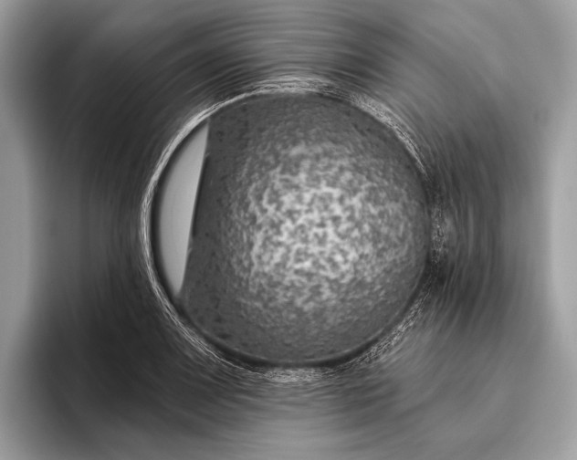 X0000095921083200801251025