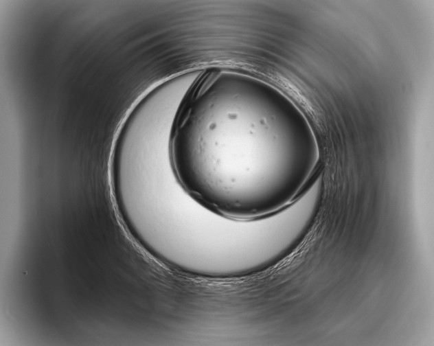 X0000095921084200801251025