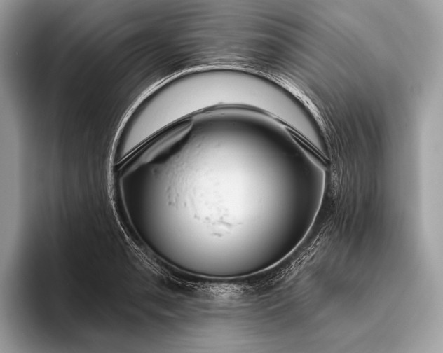 X0000095921085200801251025