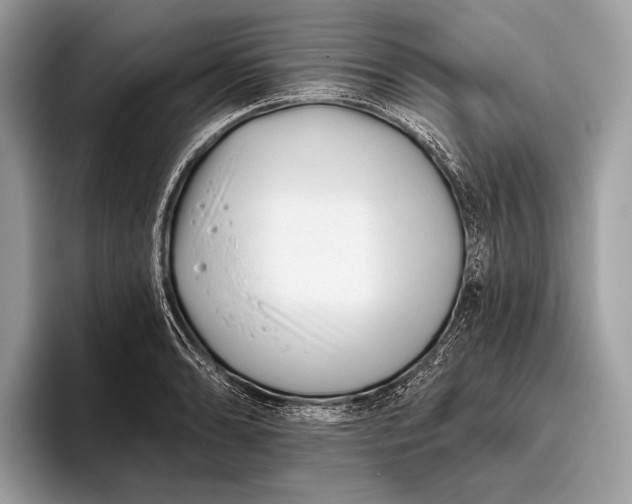 X0000095921086200801251025