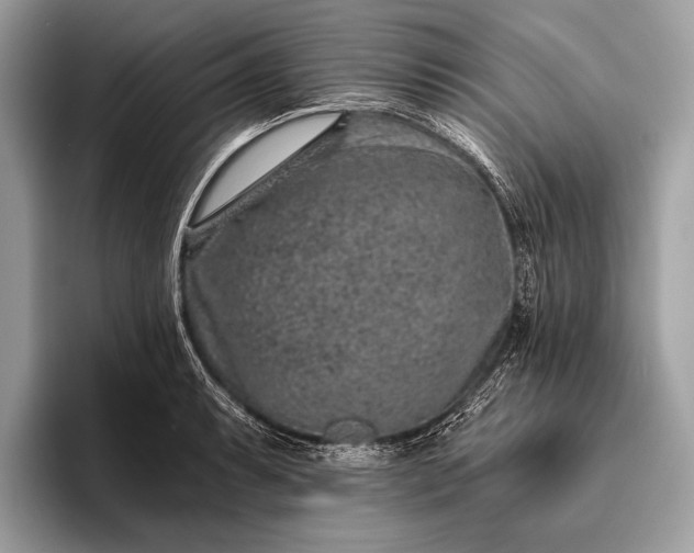 X0000095921087200801251025