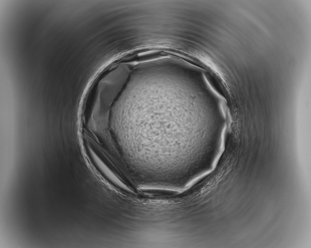 X0000095921088200801251025