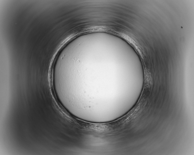 X0000095921090200801251025