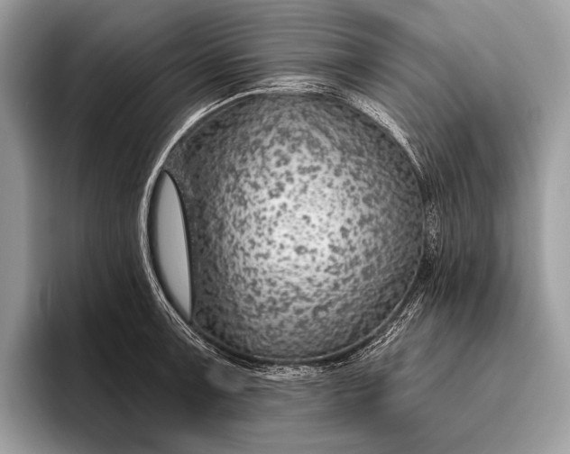 X0000095921091200801251025