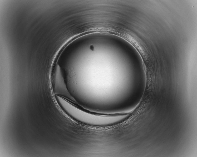 X0000095921092200801251025