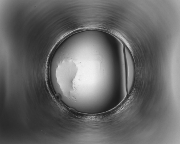 X0000095921093200801251025