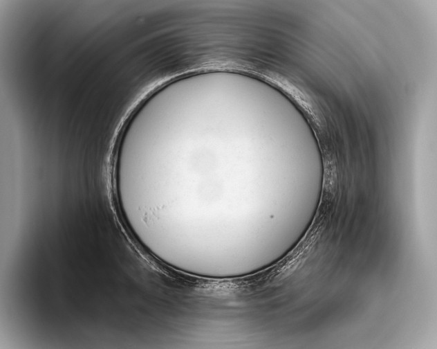 X0000095921094200801251025