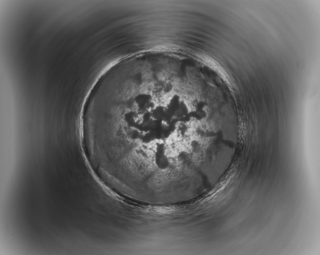 X0000095921095200801251025