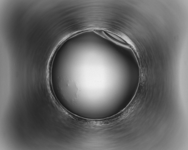 X0000095921096200801251025