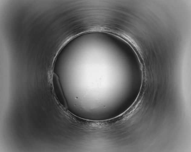 X0000095921097200801251025