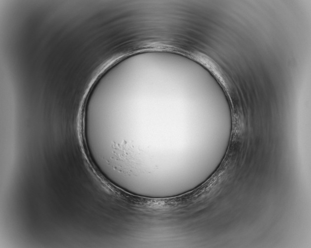 X0000095921098200801251025