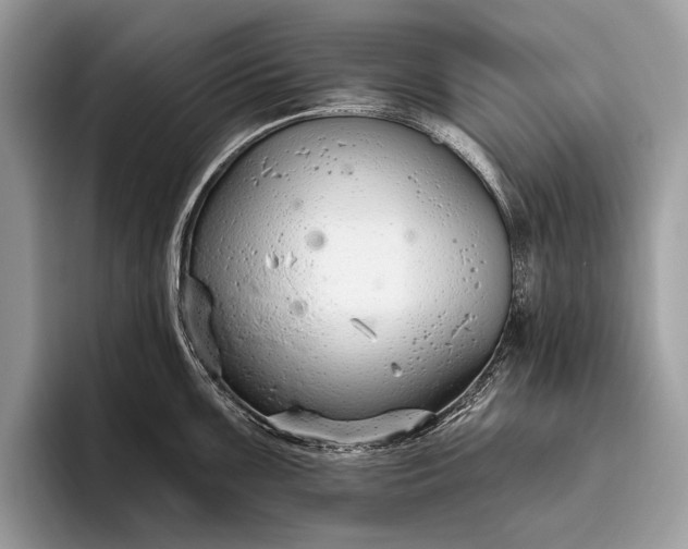 X0000095921099200801251025