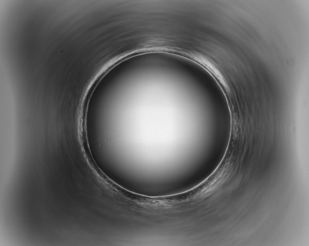 X0000095921101200801251025